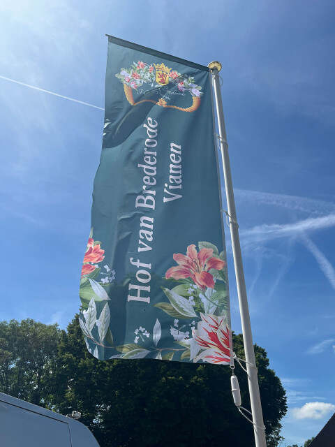 Vlag Hof van Brederode